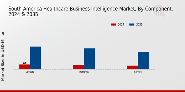 South America Healthcare Business Intelligence Market Component Insights