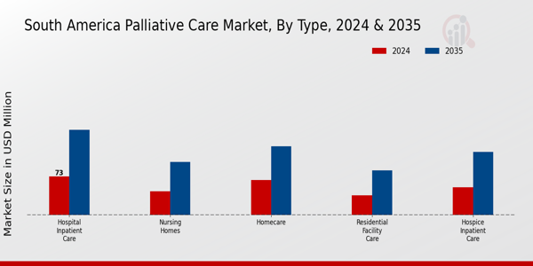 South America Palliative Care Market Segment Insights