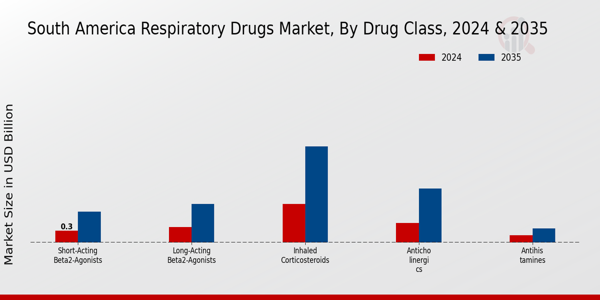 South America Respiratory Drugs Market Segment