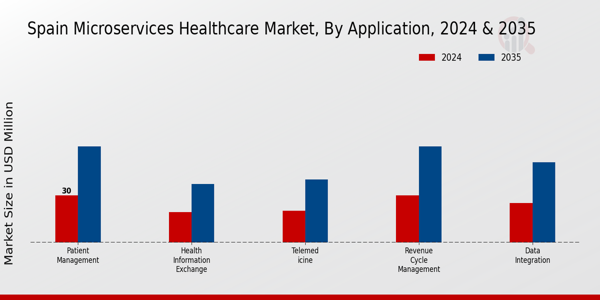 Spain Microservices Healthcare Market Segment