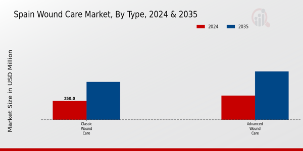 Spain Wound Care Market Segment