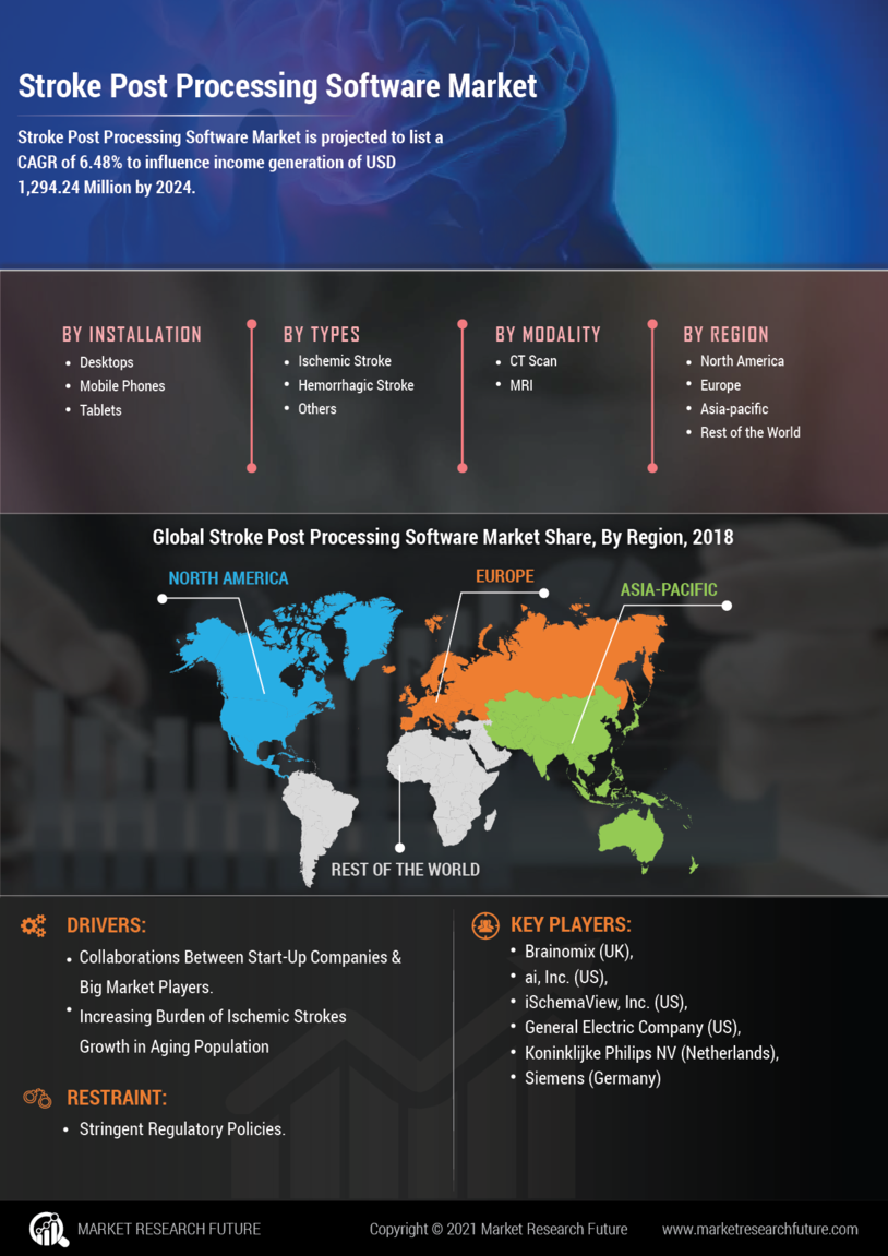 Stroke Post Processing Software Market