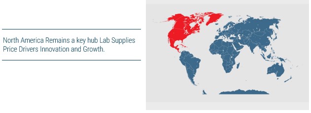 Strong Supplier and Distribution Networks