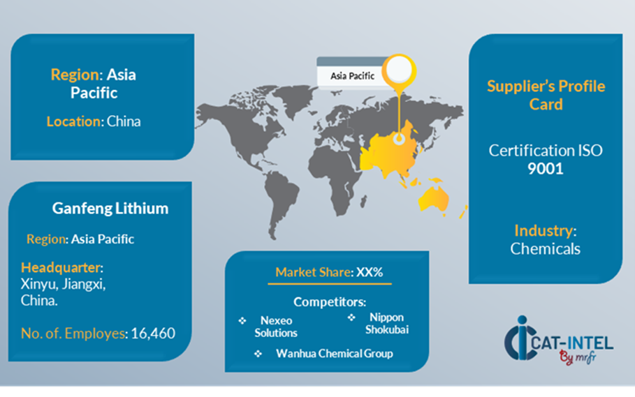 Supplier Landscape Supplier Negotiations and Strategies of lithium