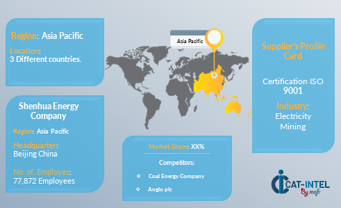 Supplier Landscape coal market