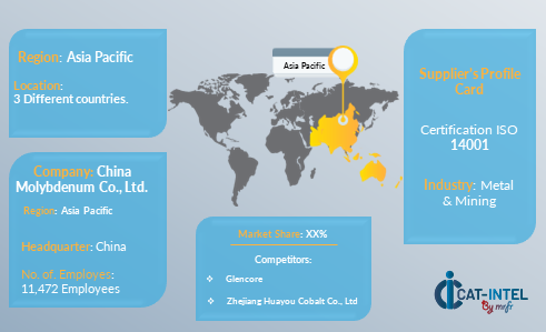 Supplier Landscape cobalt market