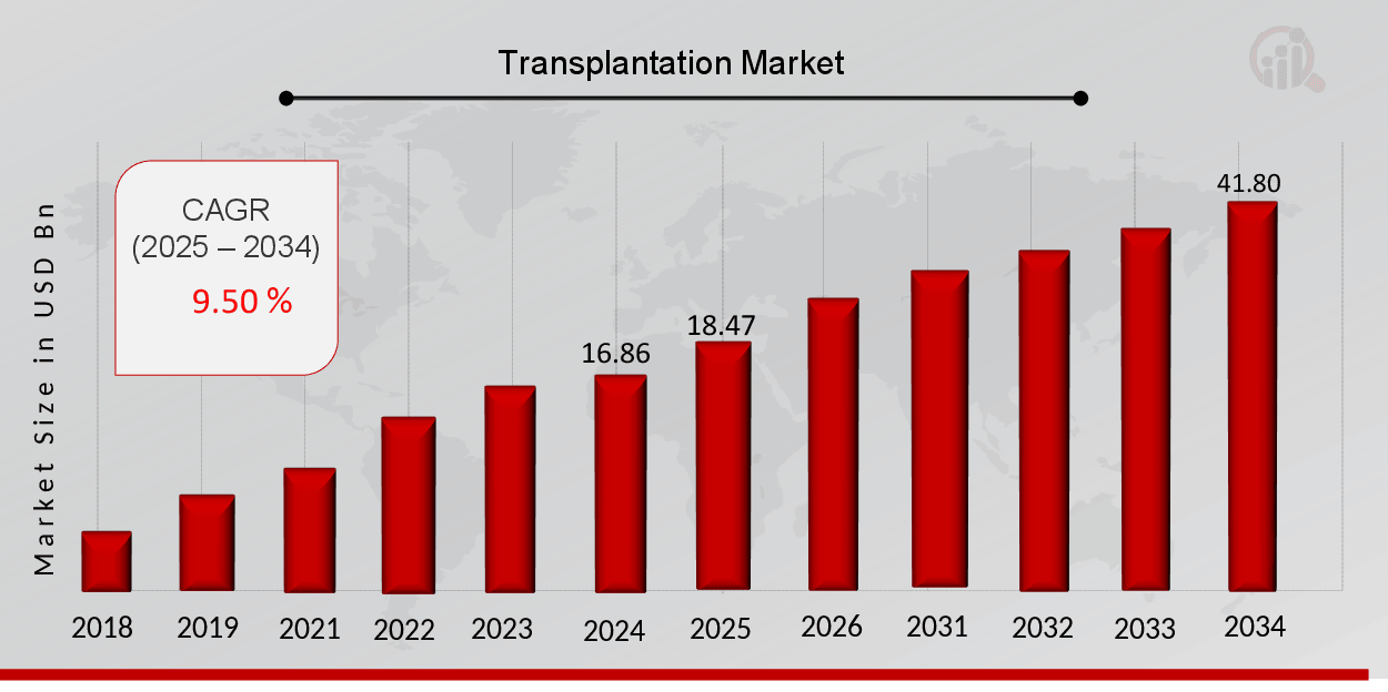 Transplantation Market Overview 2025-2034