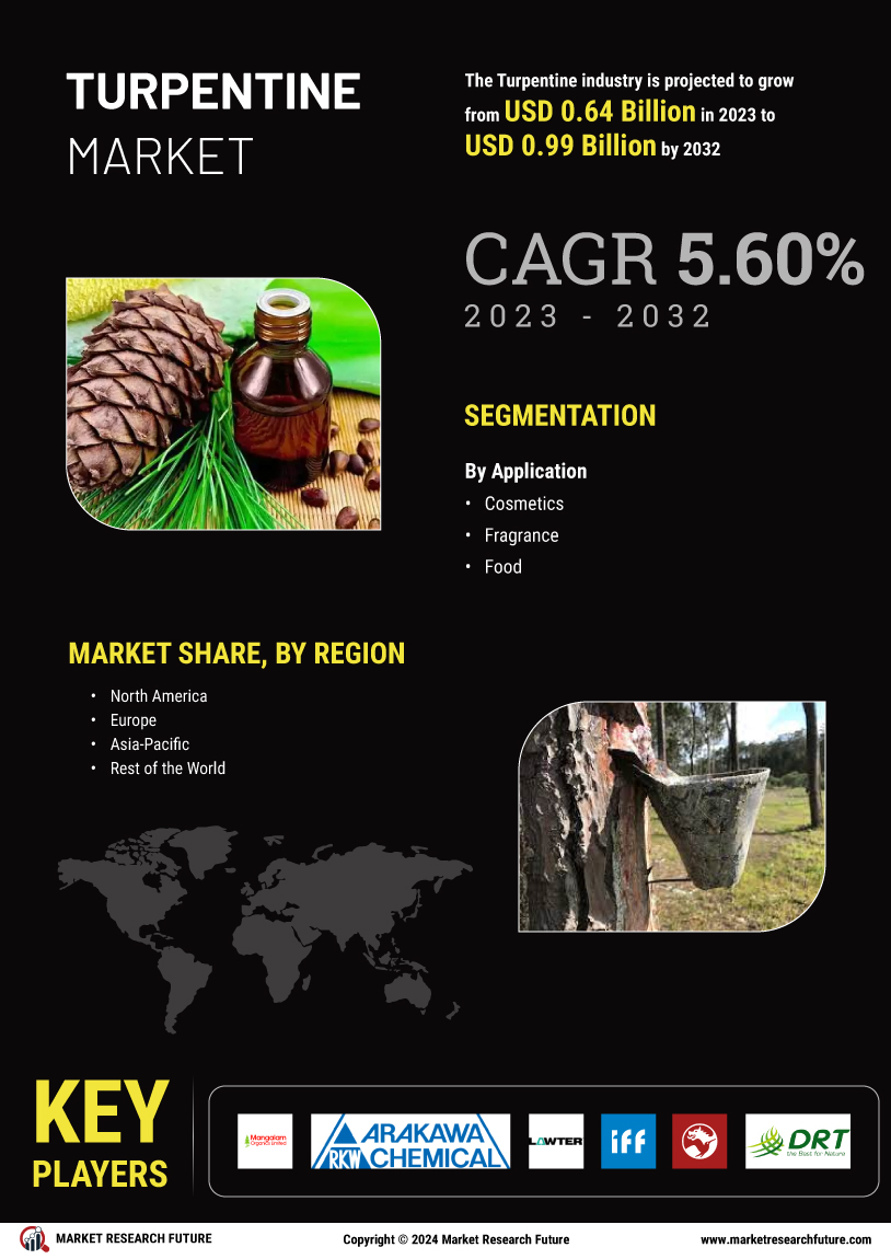 Turpentine Market Research Report - Global Forecast 2034 Infographic