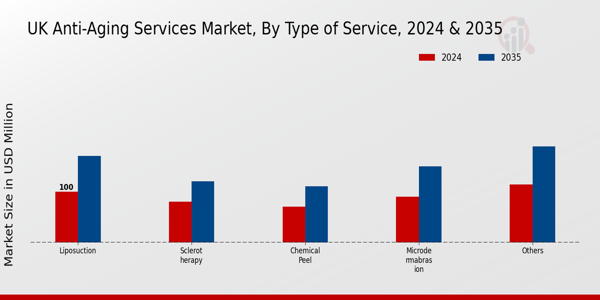 UK Anti Aging Services Market Segment