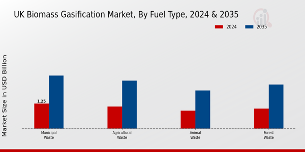 UK Biomass Gasification Market Segment