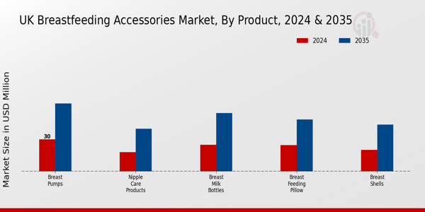 UK Breast Feeding Accessories Market Segment