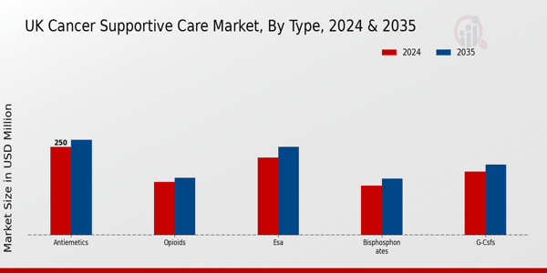 UK Cancer Supportive Care Market Segment