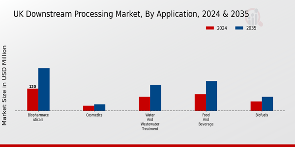 UK Downstream Processing Market Segment
