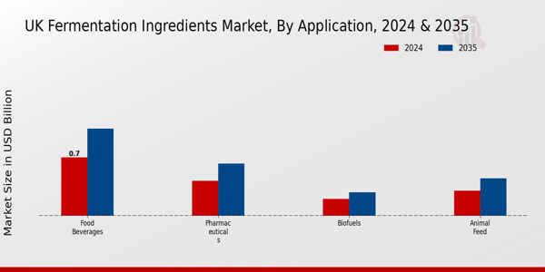 UK Fermentation Ingredients Market Segment