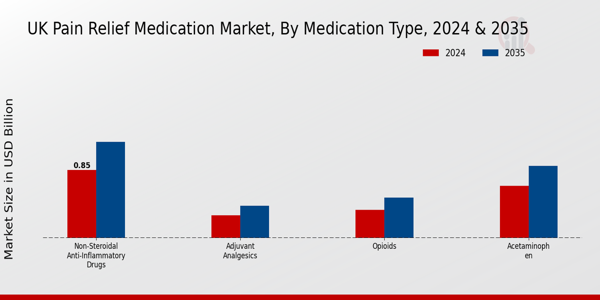 UK Pain Relief Medication Market Segment