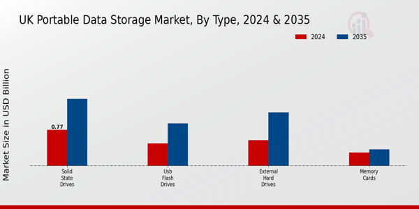 UK Portable Data Storage Market Segment