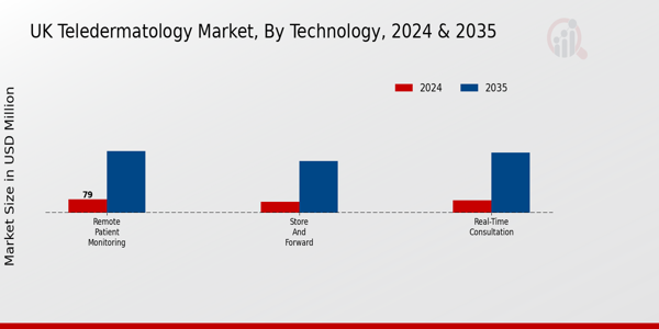 UK Teledermatology Market Segment