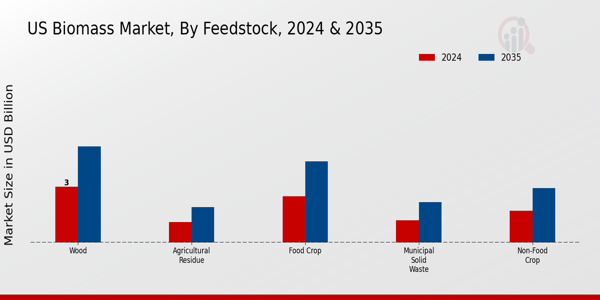US Biochar from Woody Biomass Market segment