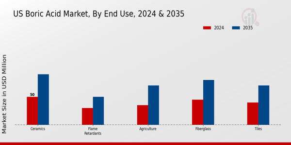 US Boric Acid Market segment