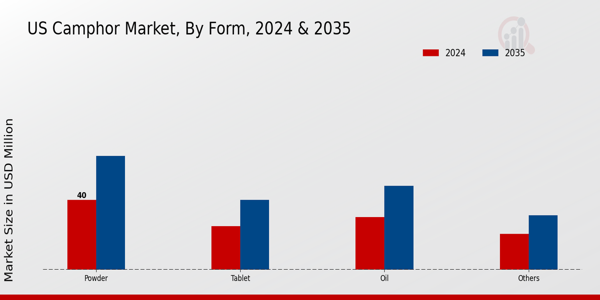 US Camphor Market<br> segment