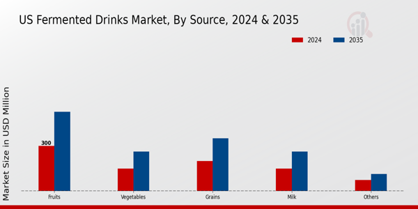 US Fermented Drinks Market  segment