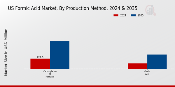 US Formic Acid Market Overview