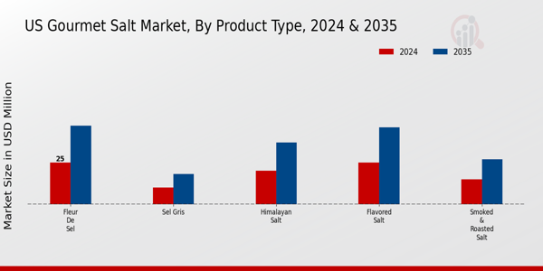 US Gourmet Salt Market segment