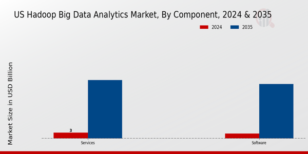 US Hadoop Big Data Analytics Market segment