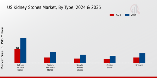 US Kidney Stones Market Segment Insights