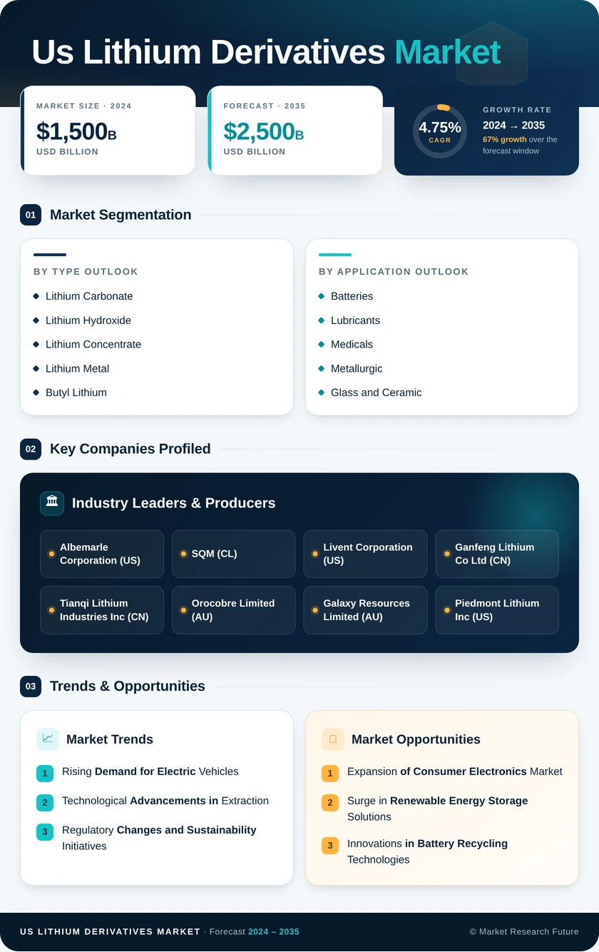 US Lithium Derivatives Market Research Report - Forecast Report 2035 Infographic
