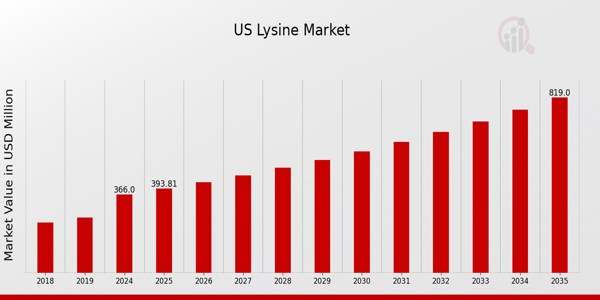 US Lysine Market size