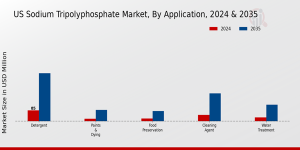 US Sodium Tripolyphosphate Market segment