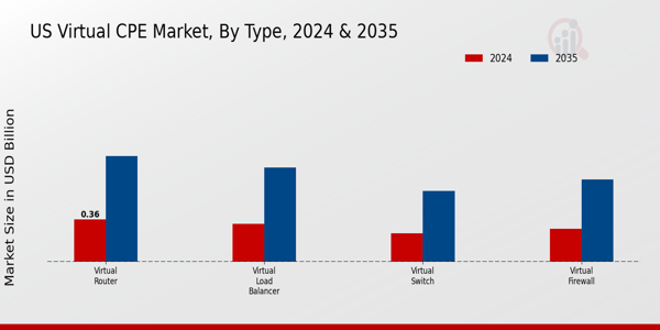 Virtual CPE Market Type Insights