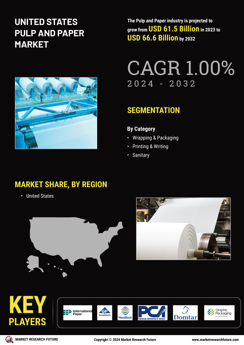 United States Pulp And Paper Market Research-Forecast by 2034 Infographic