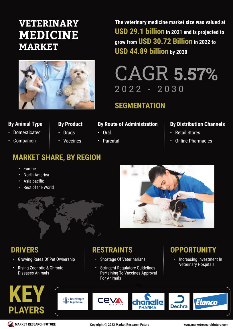 Veterinary Medicine Market