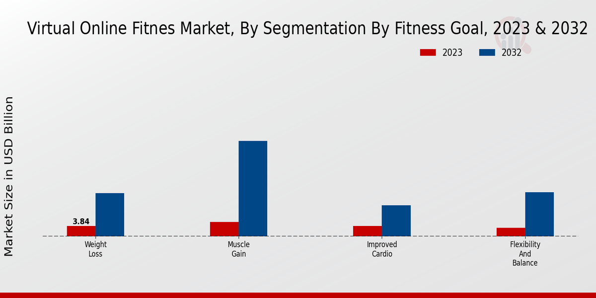 Virtual Online Fitness Market Segmentation by Fitness Goal Insights