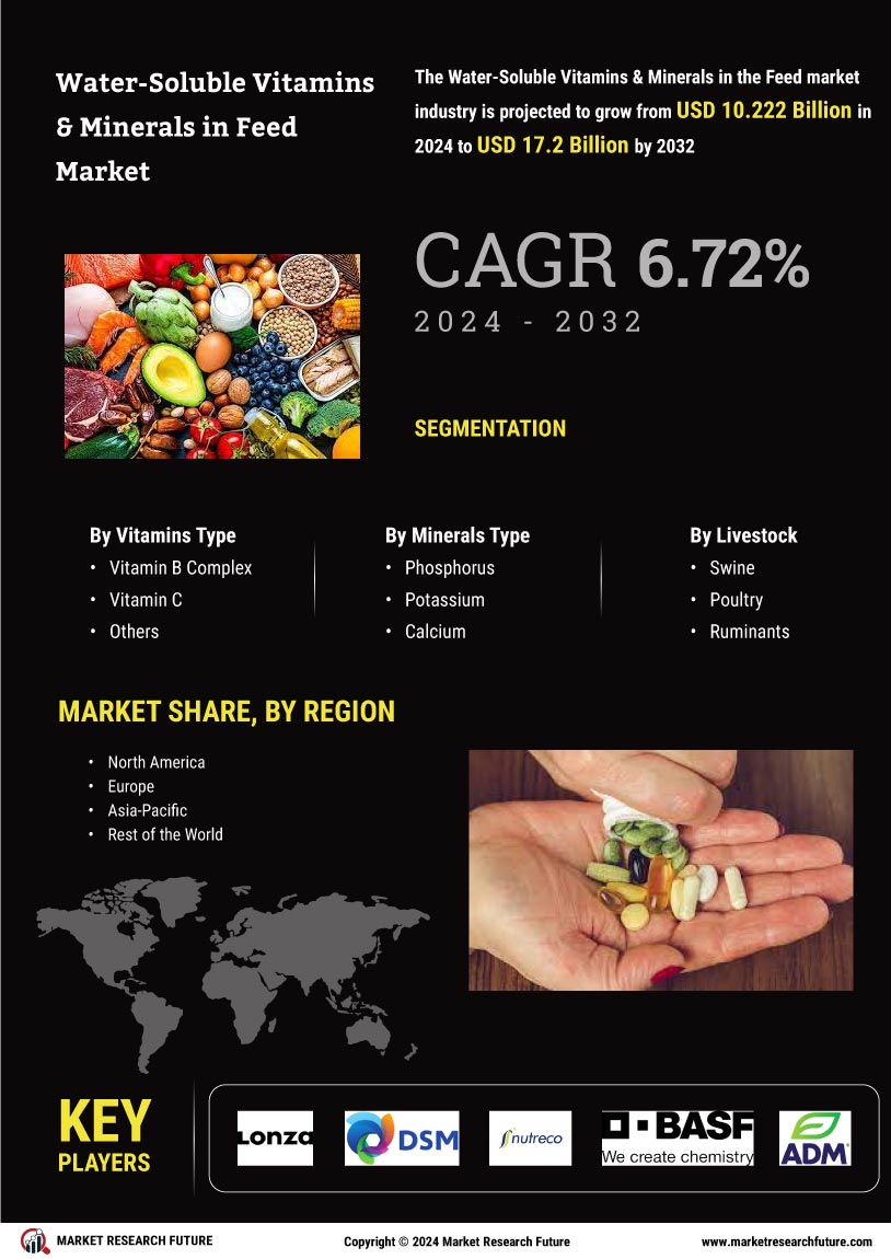 Water Soluble Vitamins Minerals Feed Market