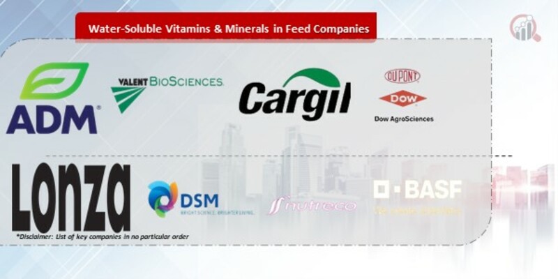 Water-Soluble Vitamins & Minerals in Feed Companies.jpg