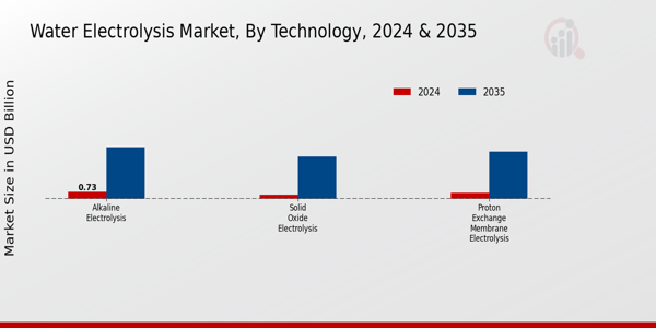 Water Electrolysis Market Segment