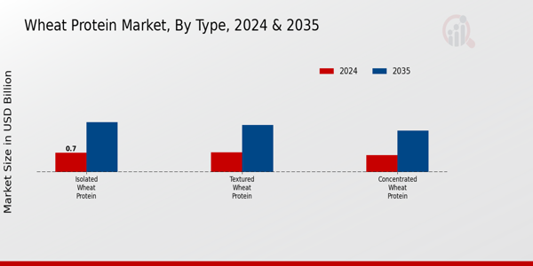 Wheat Protein Market Type Insights