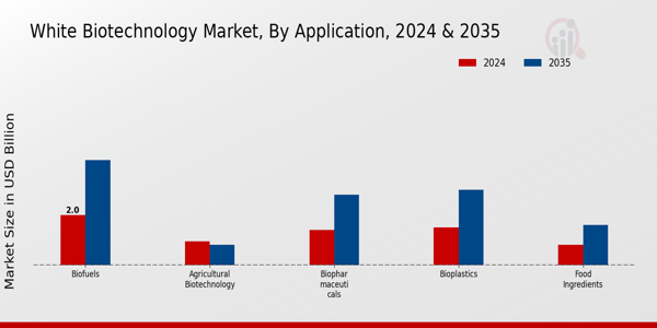 White Biotechnology Market Application Insights