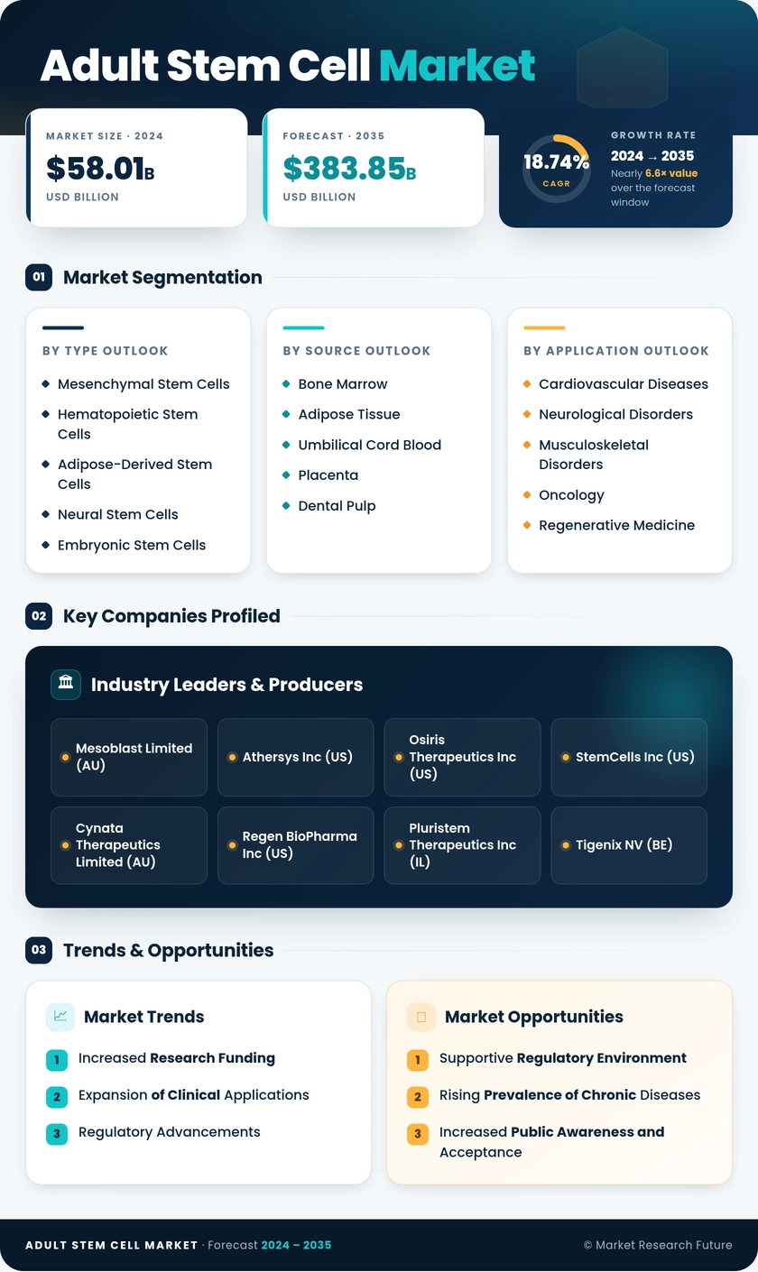 Adult Stem Cell Market Research Report — Global Forecast till 2035 Infographic