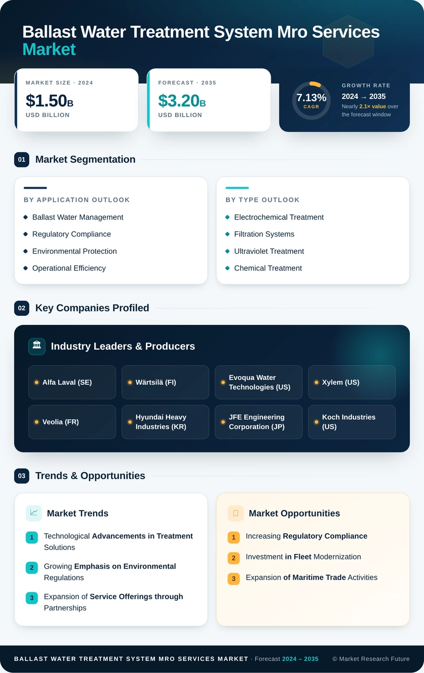 Ballast Water Treatment System MRO Services Market Infographic