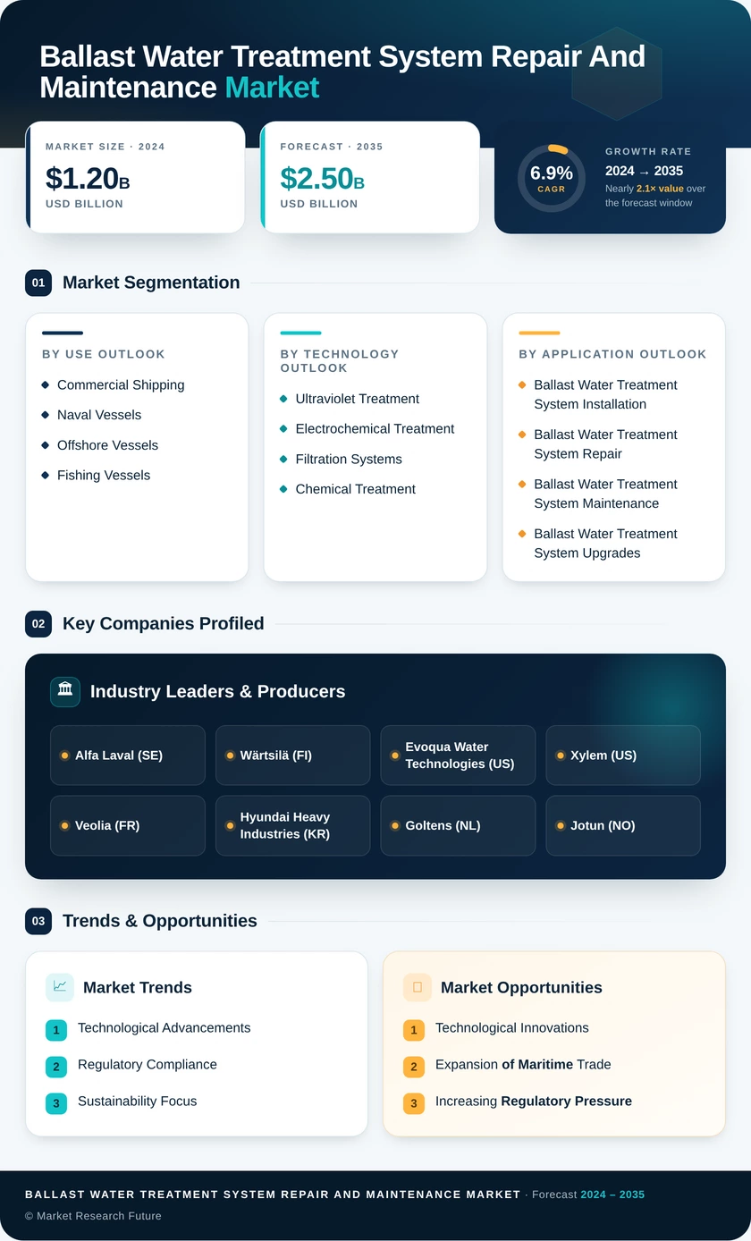 Ballast Water Treatment System Repair and Maintenance Market Infographic