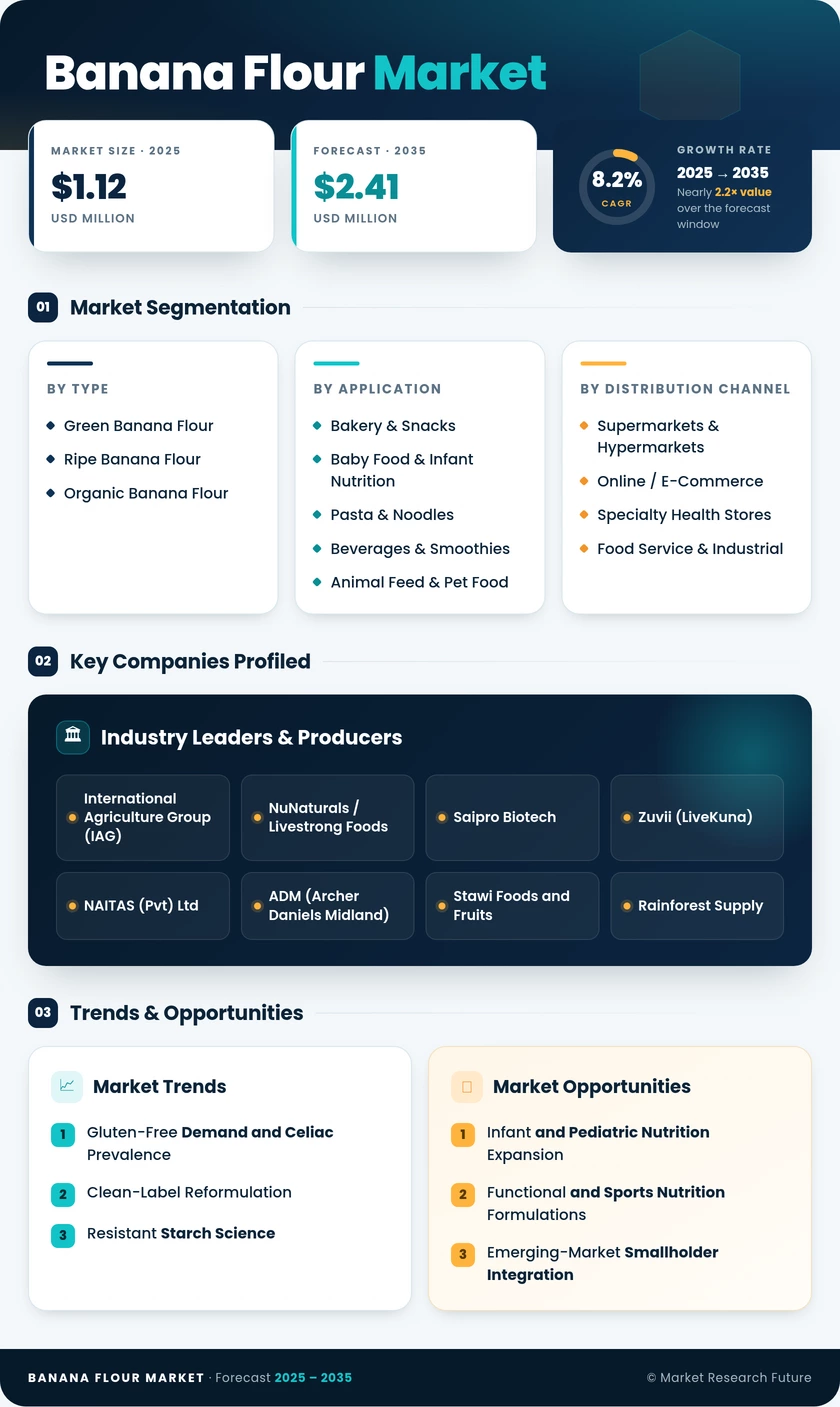 Banana Flour Market Research Report - Forecast till 2035 Infographic