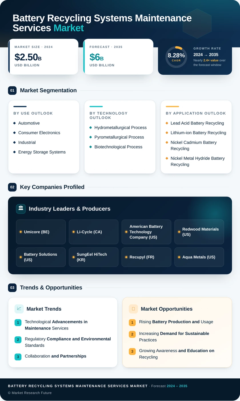 Battery Recycling Systems Maintenance Services Market Infographic