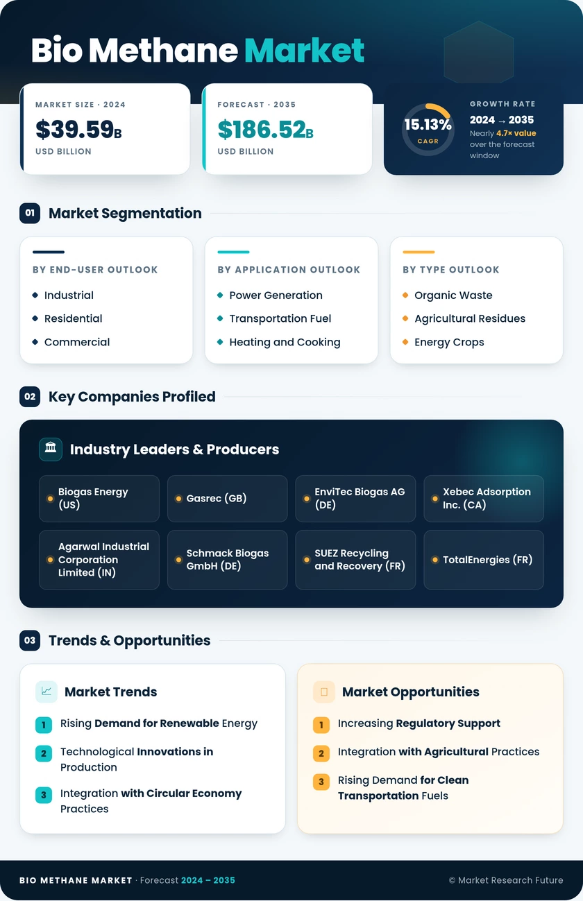 Bio-Methane Market Research Report - Global Forecast Till 2035 Infographic