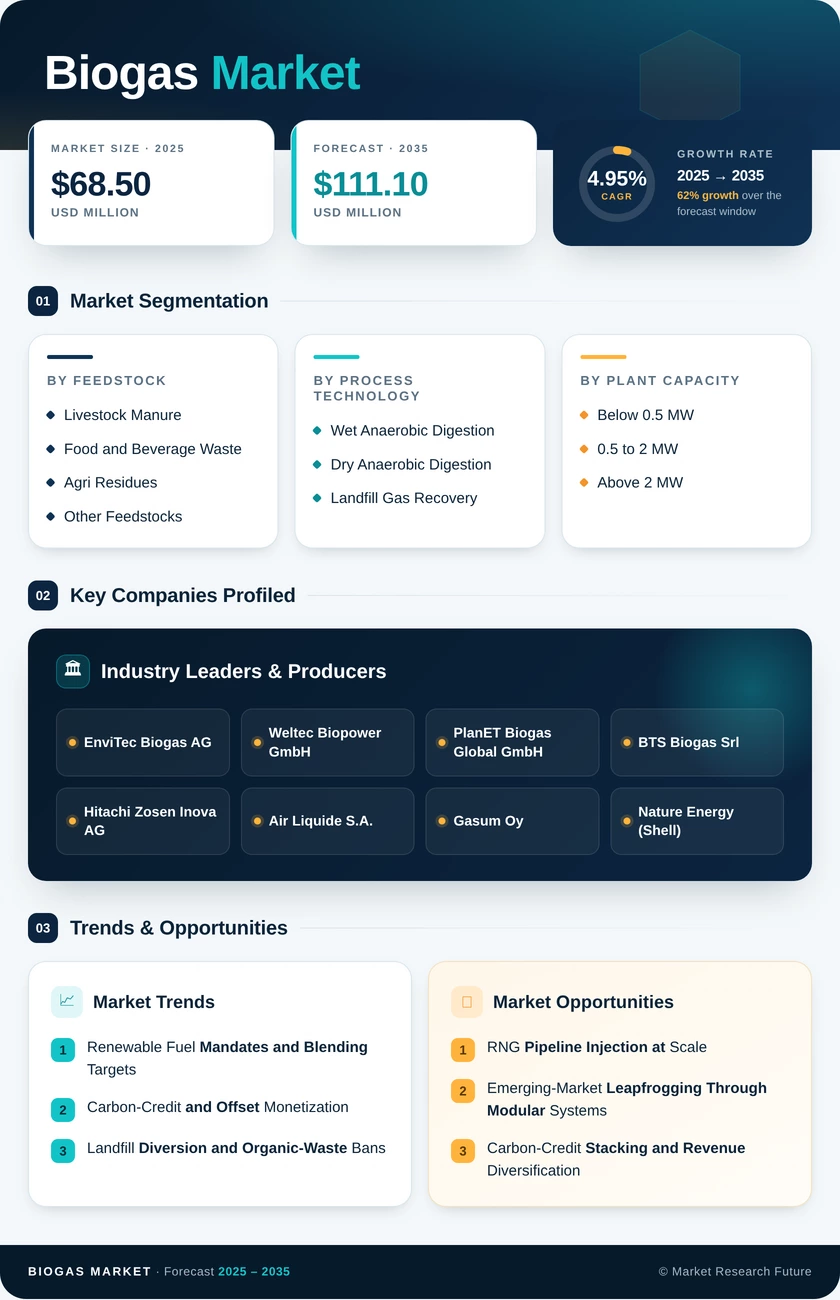 Biogas Market Research Report—Global Forecast till 2035 - Market Research Future Infographic