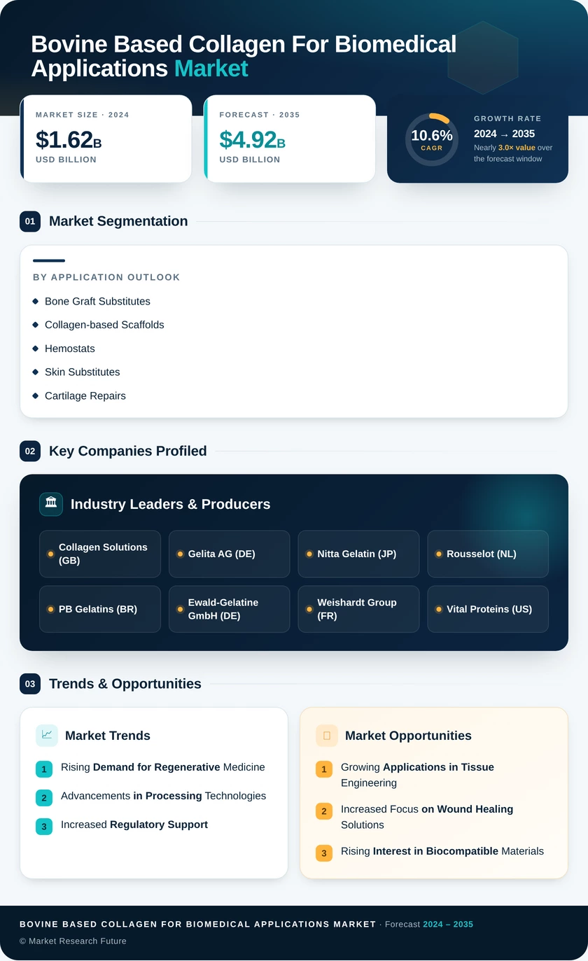 Bovine-based Collagen for Biomedical Applications Market Research Report — Global Forecast till 2035 Infographic