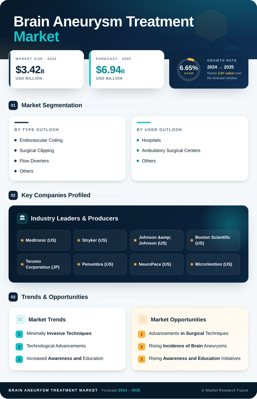 Brain Aneurysm Treatment Market Research Report- Global Forecast till 2035 Infographic